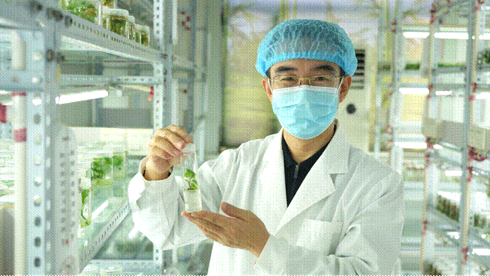 ��ҳ| PG������Ϸ�й����ٷ���վ