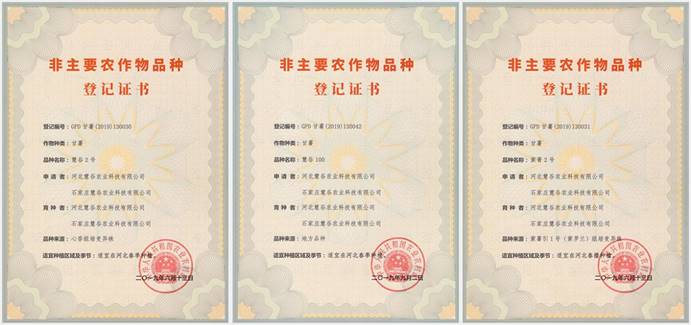 ��ҳ| PG������Ϸ�й����ٷ���վ