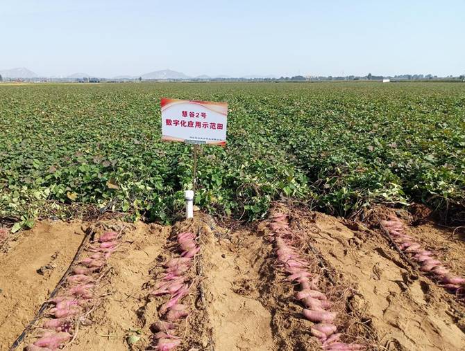 ��ҳ| PG������Ϸ�й����ٷ���վ