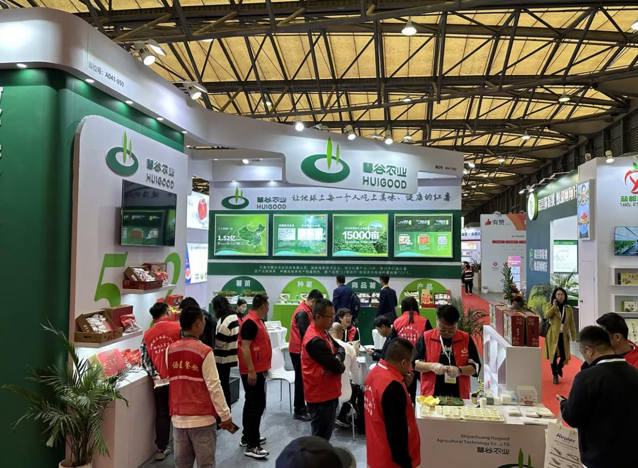 ��ҳ| PG������Ϸ�й����ٷ���վ