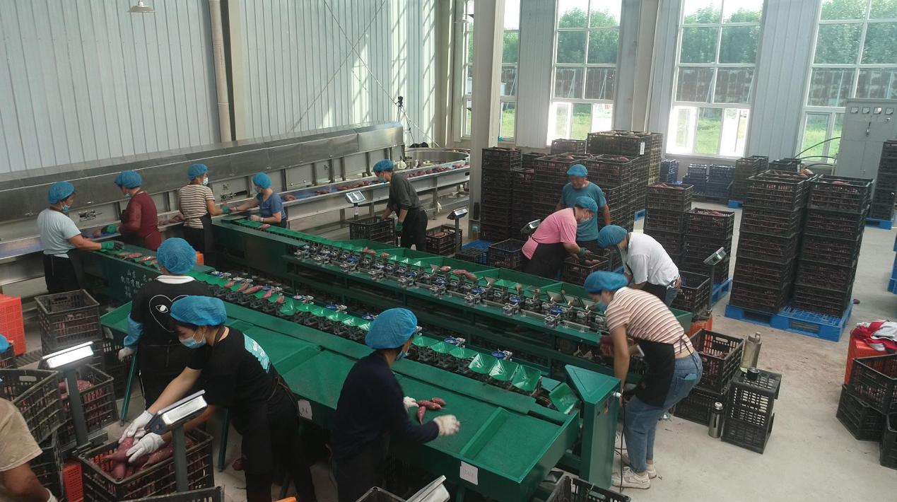 ��ҳ| PG������Ϸ�й����ٷ���վ