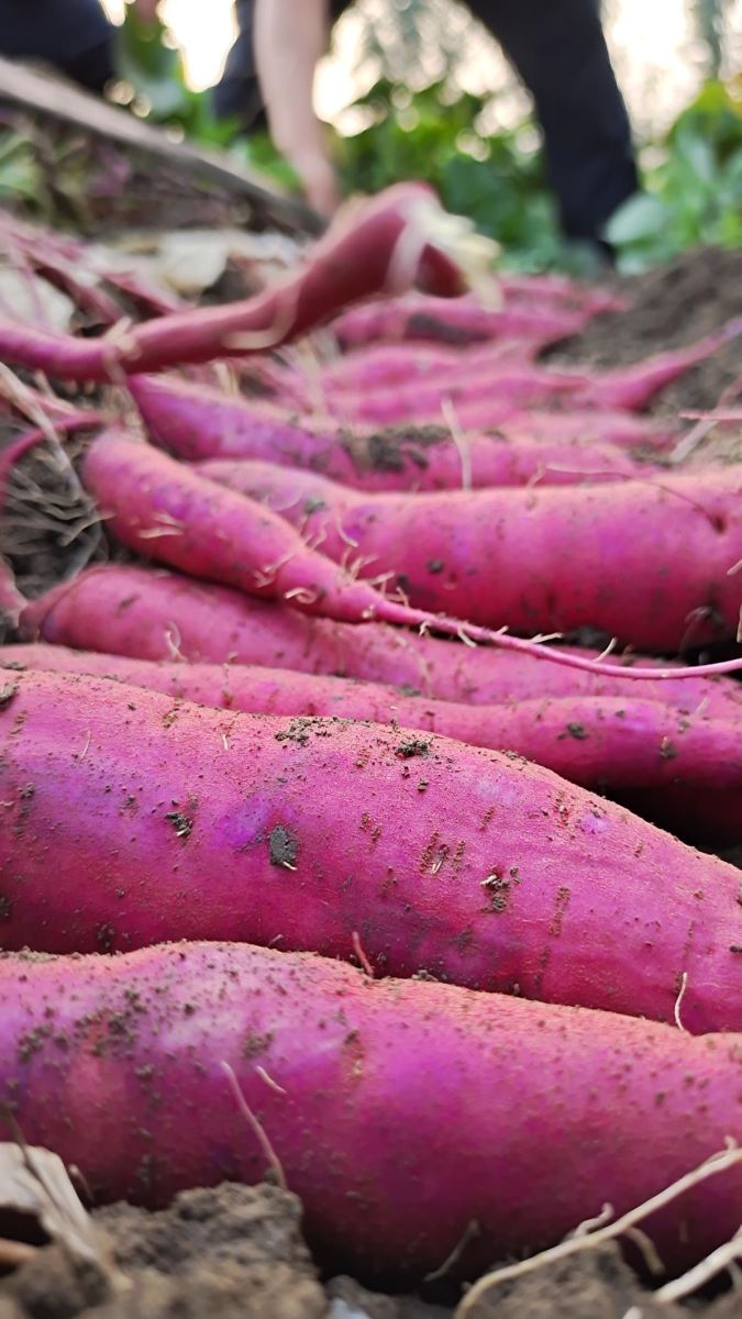 ��ҳ| PG������Ϸ�й����ٷ���վ