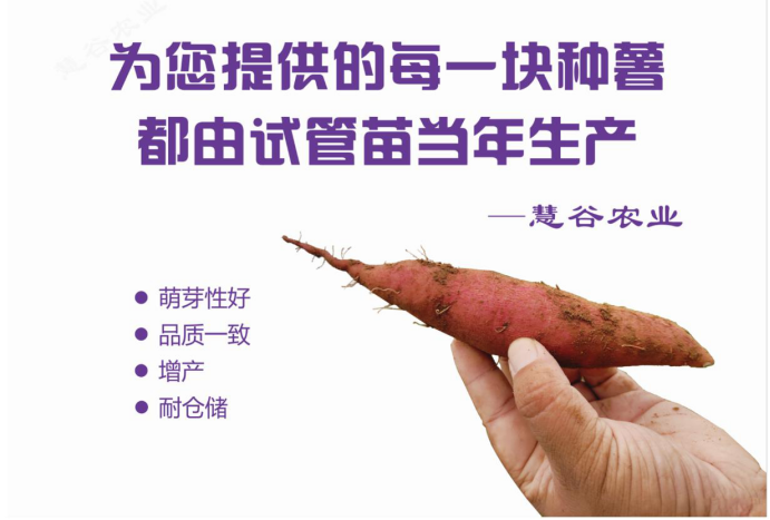 ��ҳ| PG������Ϸ�й����ٷ���վ