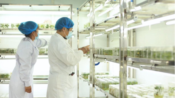 ��ҳ| PG������Ϸ�й����ٷ���վ