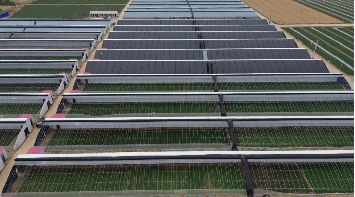 ��ҳ| PG������Ϸ�й����ٷ���վ