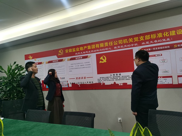 安徽尊龙人生就是博d8地产集团机关第一党支部开展“佩党徽、诵誓词、赠党章、上党课”党员教育运动