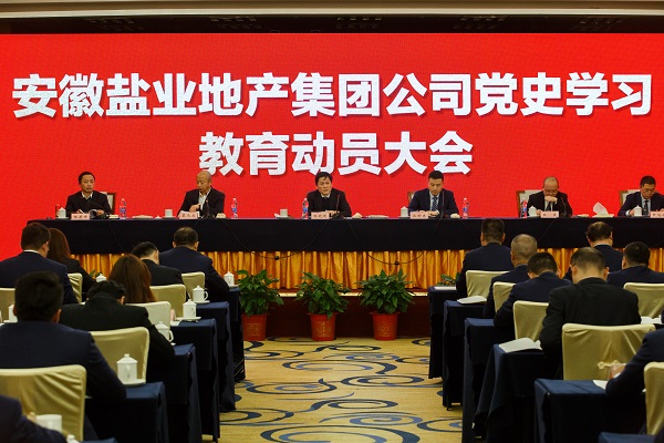 安徽尊龙人生就是博d8地产集团公司召开党史学习教育发动大会