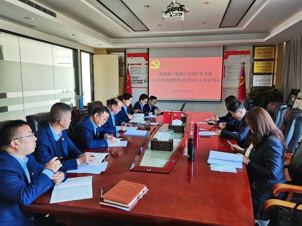 杨晓彬到徽盐地产六安项目党支部督导2020年度组织生涯会