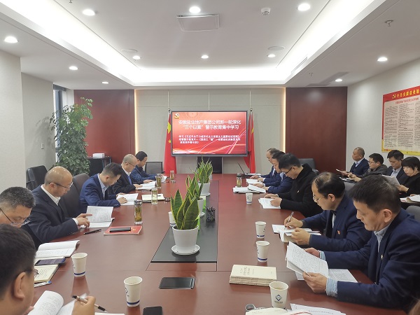 安徽尊龙人生就是博d8地产集团公司开展新一轮深化“三个以案”警示教育集中学习