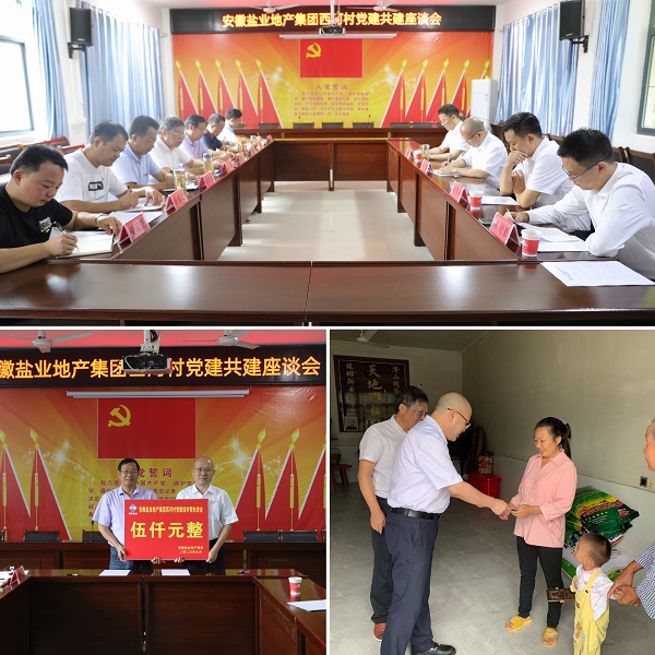 安徽尊龙人生就是博d8地产集团党委赴西河村开展结对共建帮扶慰问运动