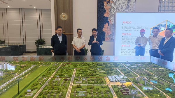 王思军到省都会更新等三家公司六安项目调研督导事情