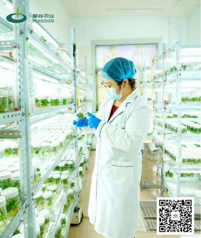 ��ҳ| PG������Ϸ�й����ٷ���վ