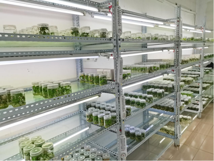 ��ҳ| PG������Ϸ�й����ٷ���վ