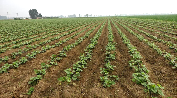 ��ҳ| PG������Ϸ�й����ٷ���վ