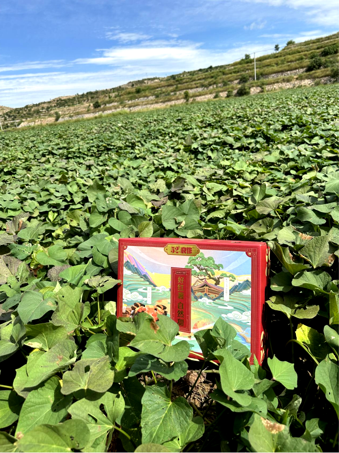 ��ҳ| PG������Ϸ�й����ٷ���վ