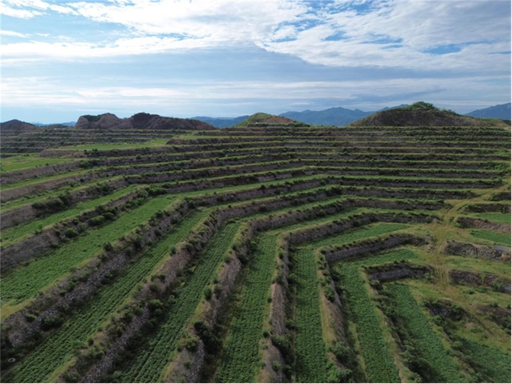 ��ҳ| PG������Ϸ�й����ٷ���վ