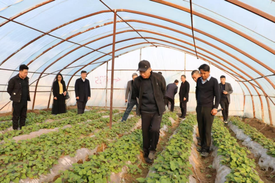 ��ҳ| PG������Ϸ�й����ٷ���վ