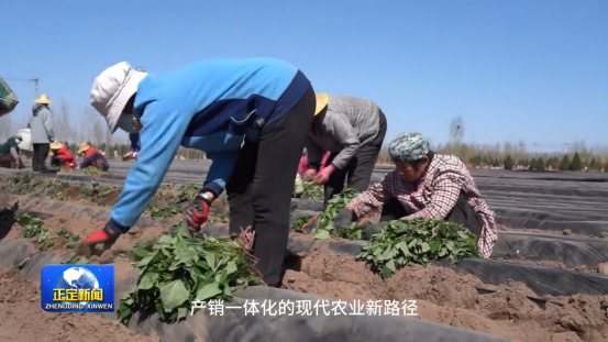 ��ҳ| PG������Ϸ�й����ٷ���վ