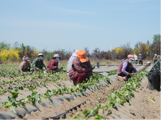 ��ҳ| PG������Ϸ�й����ٷ���վ