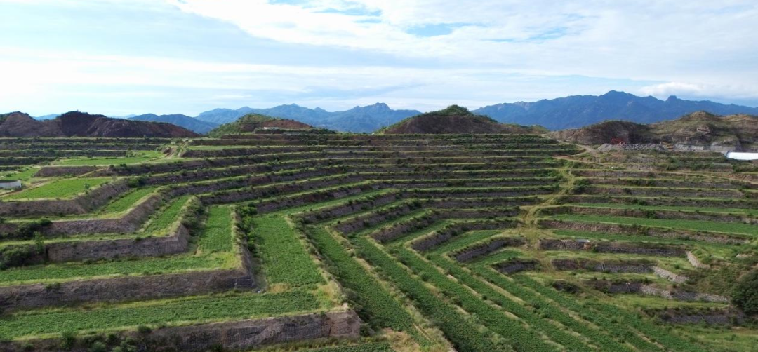 ��ҳ| PG������Ϸ�й����ٷ���վ