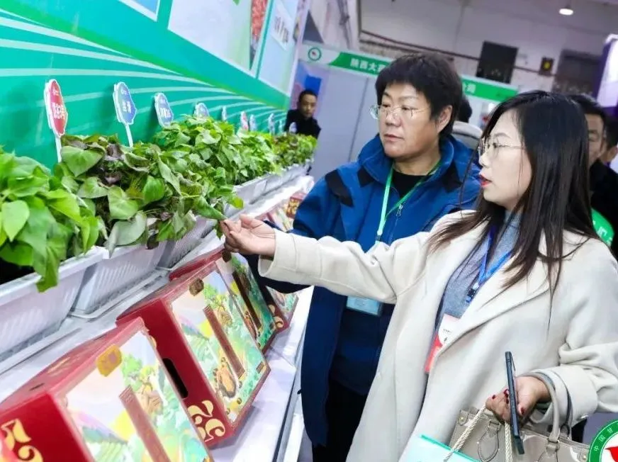 ��ҳ| PG������Ϸ�й����ٷ���վ