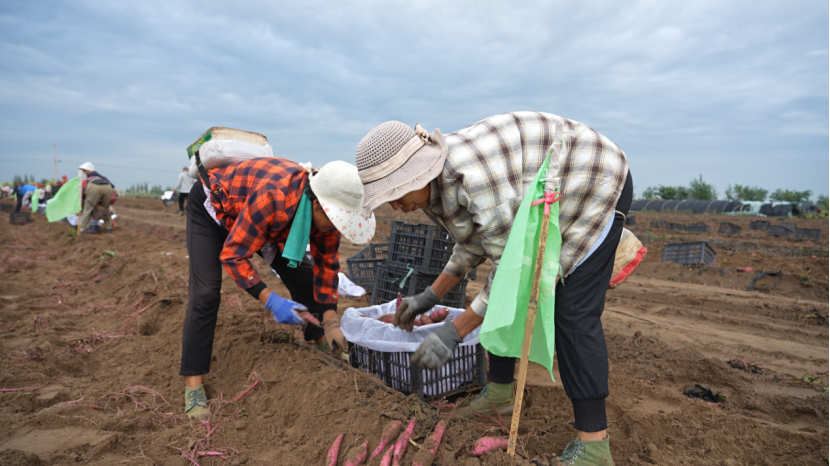 ��ҳ| PG������Ϸ�й����ٷ���վ