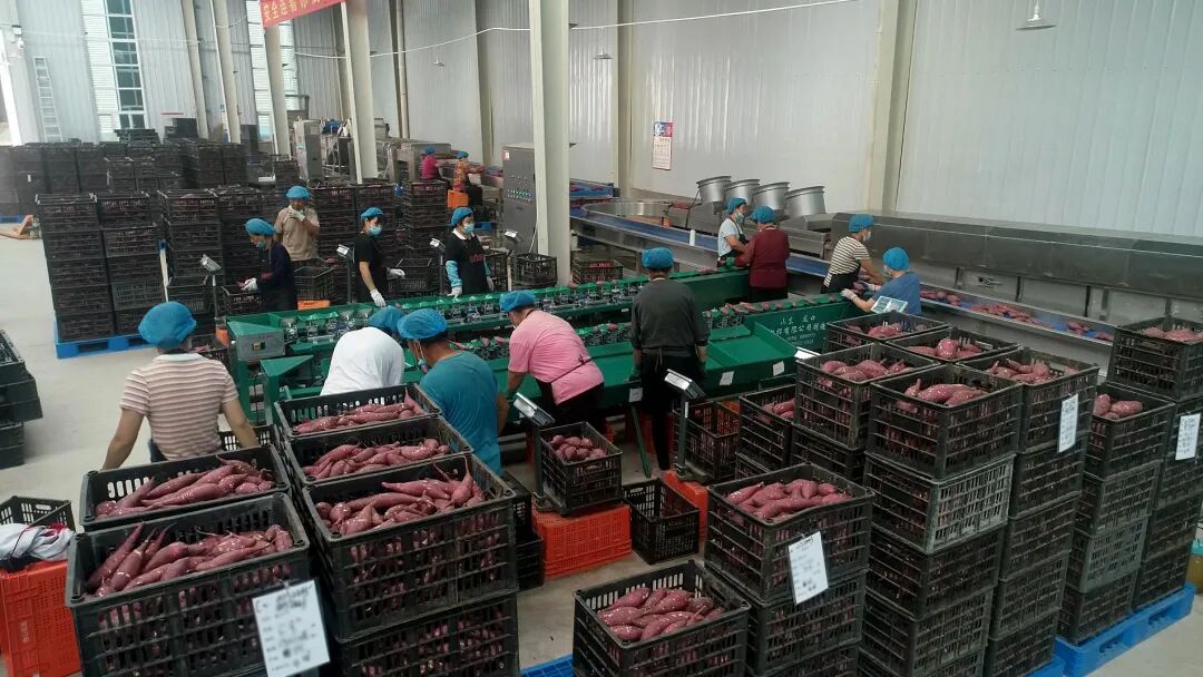 ��ҳ| PG������Ϸ�й����ٷ���վ